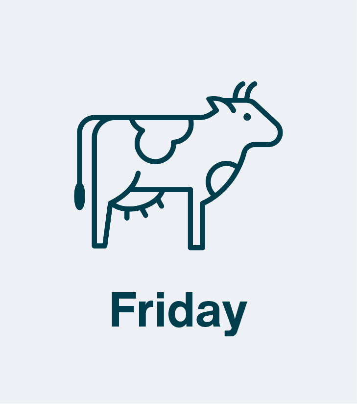 Friday