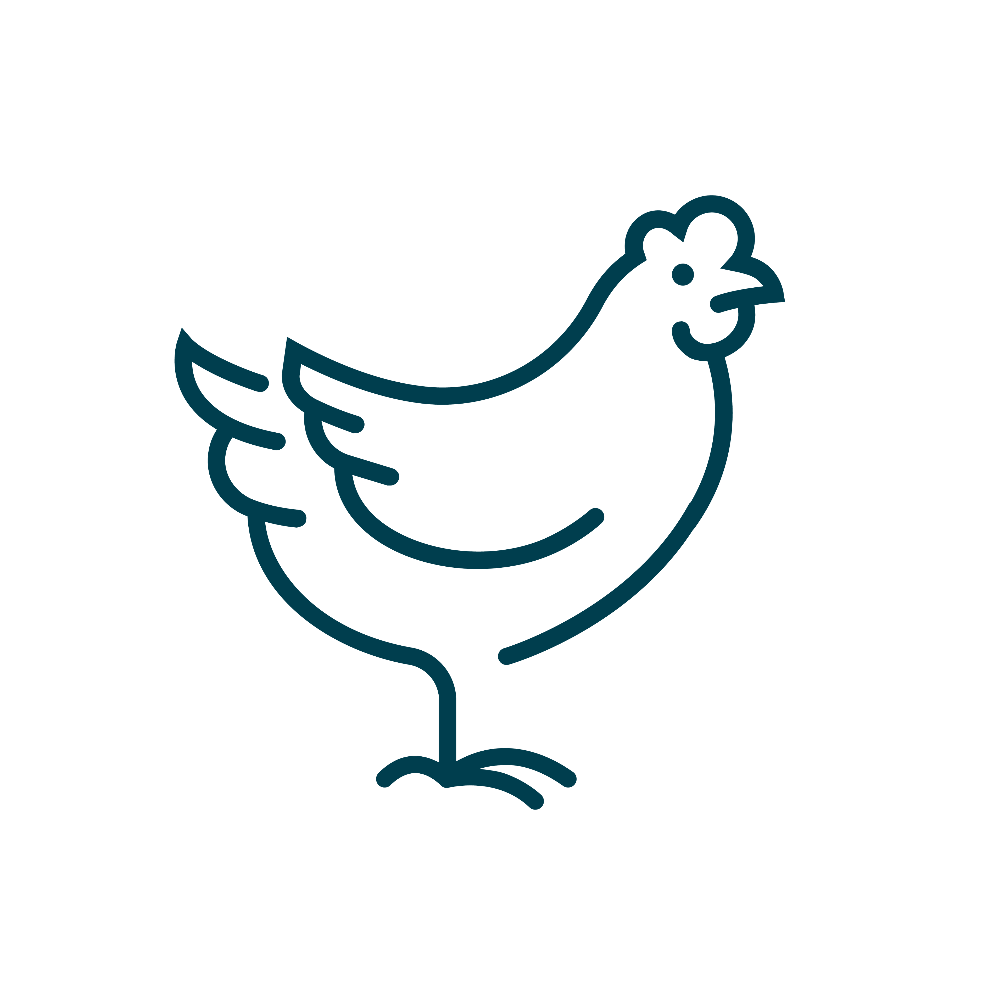 Chicken