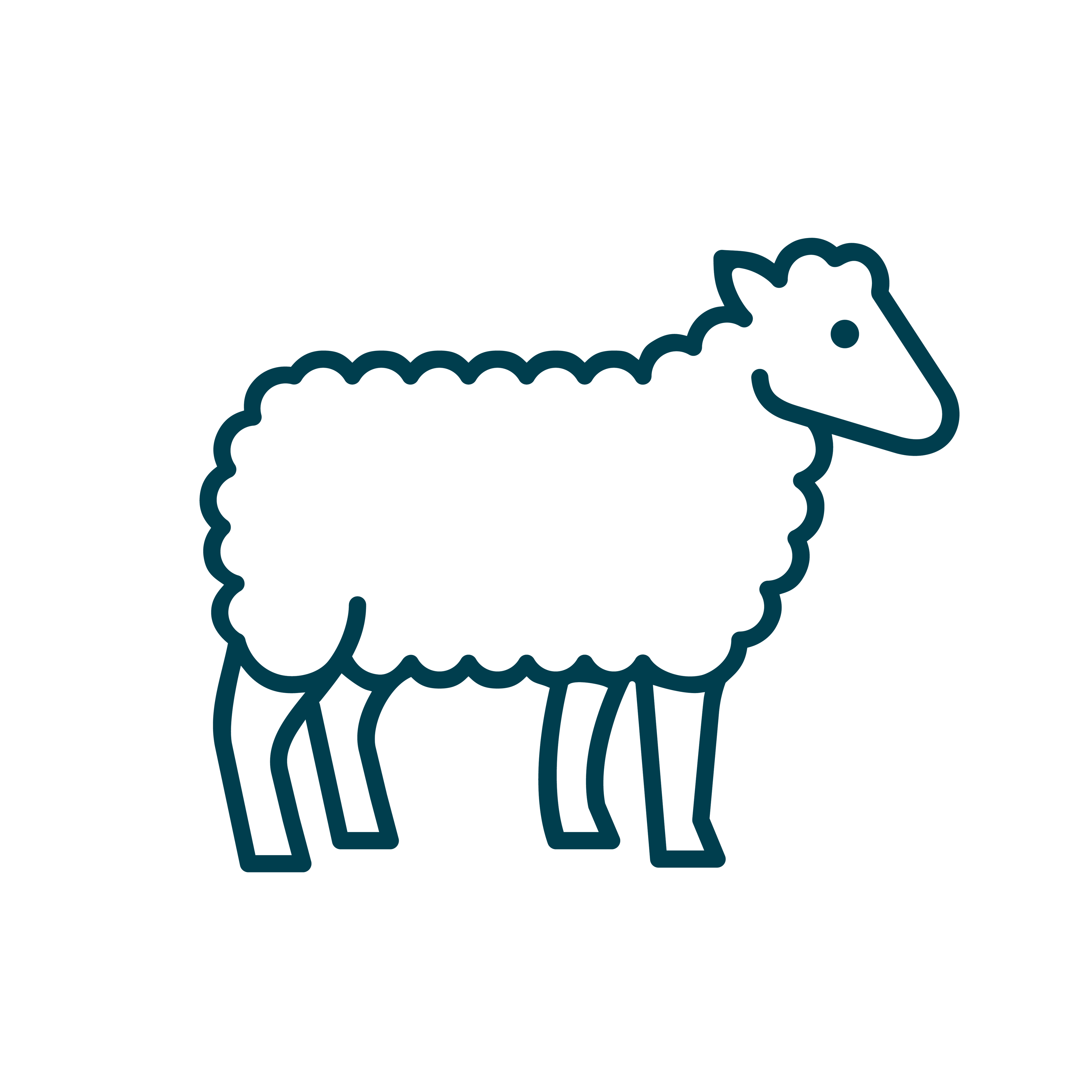 Lamb