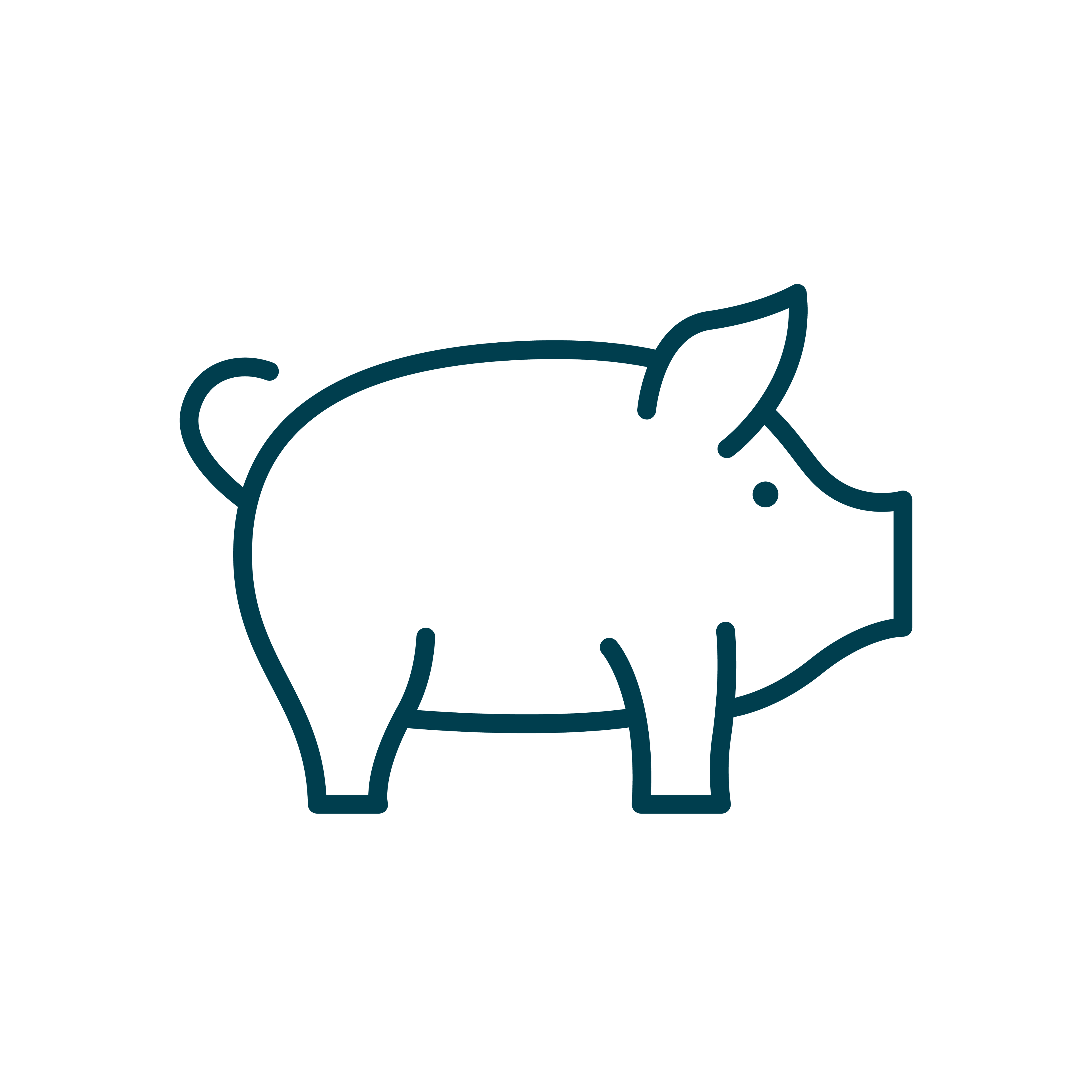 Pork