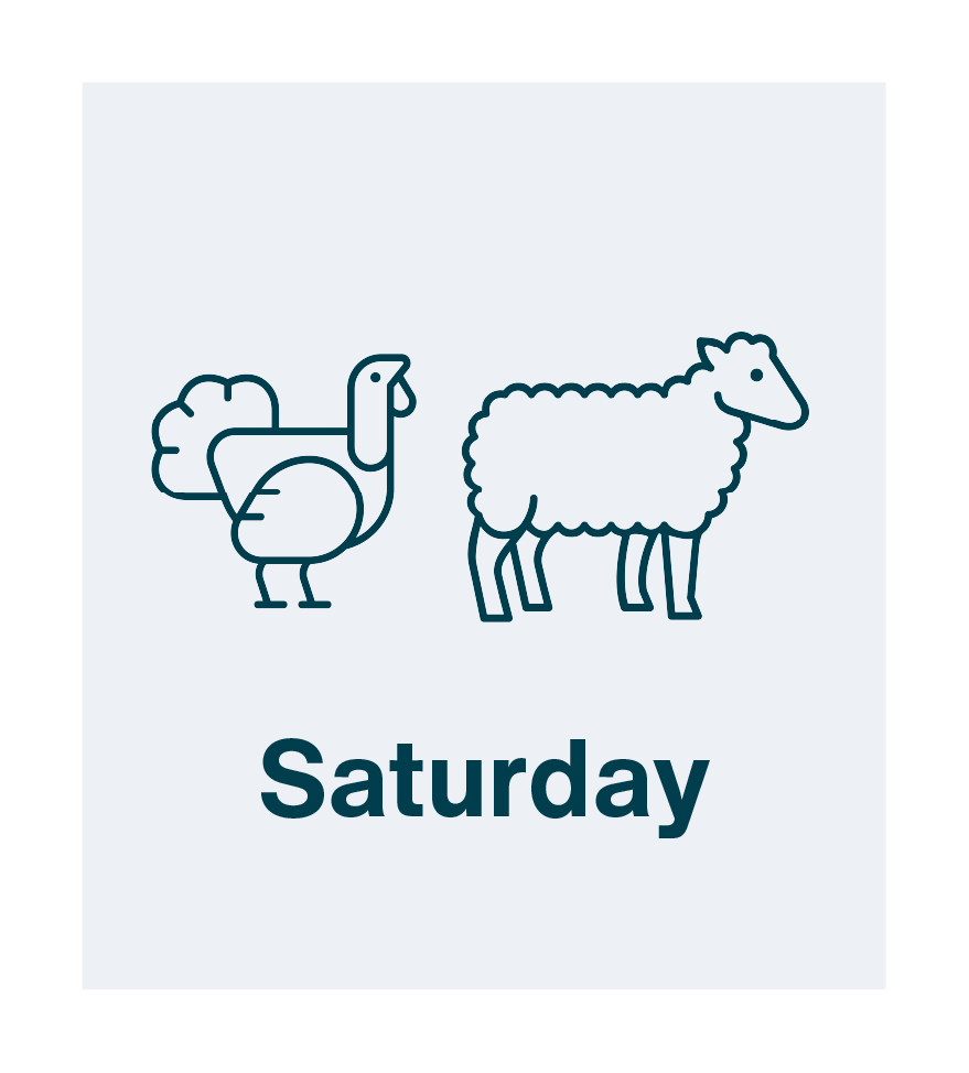 DOW-Desktop-Saturday