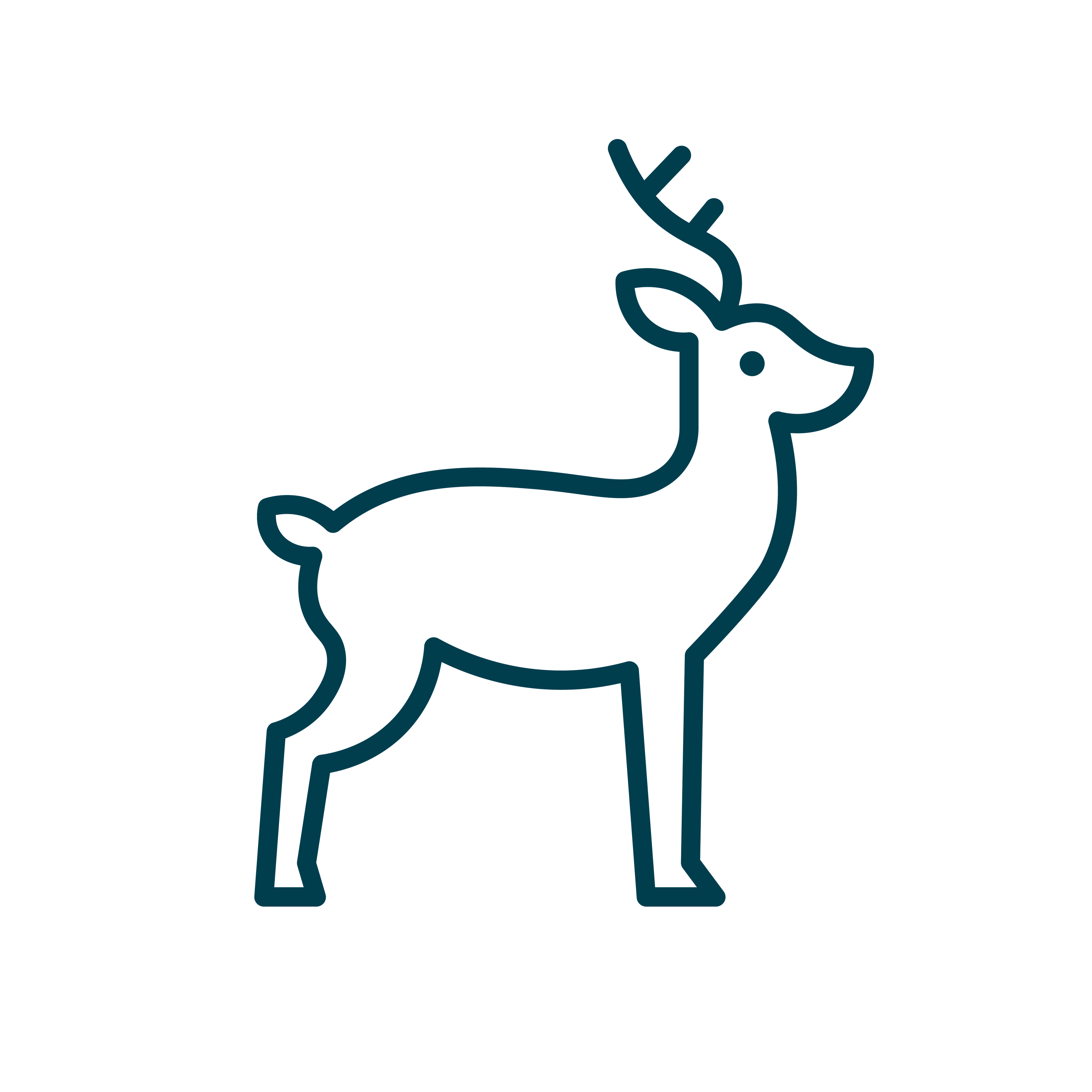 Venison