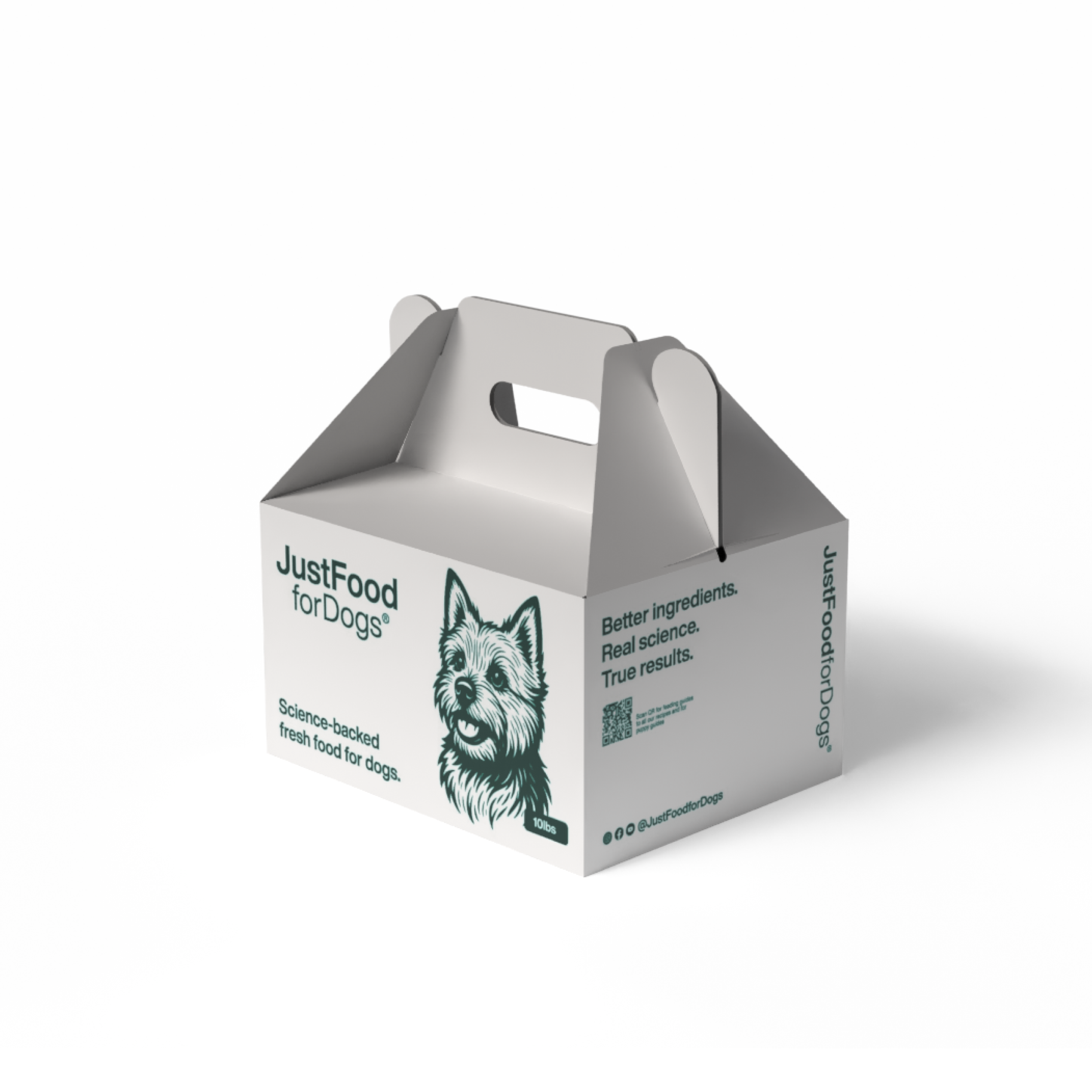 Fresh: Chicken & Rice
