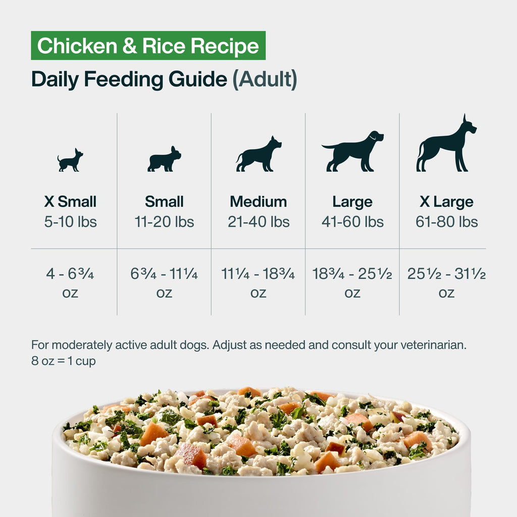 Fresh Frozen: Chicken & Rice