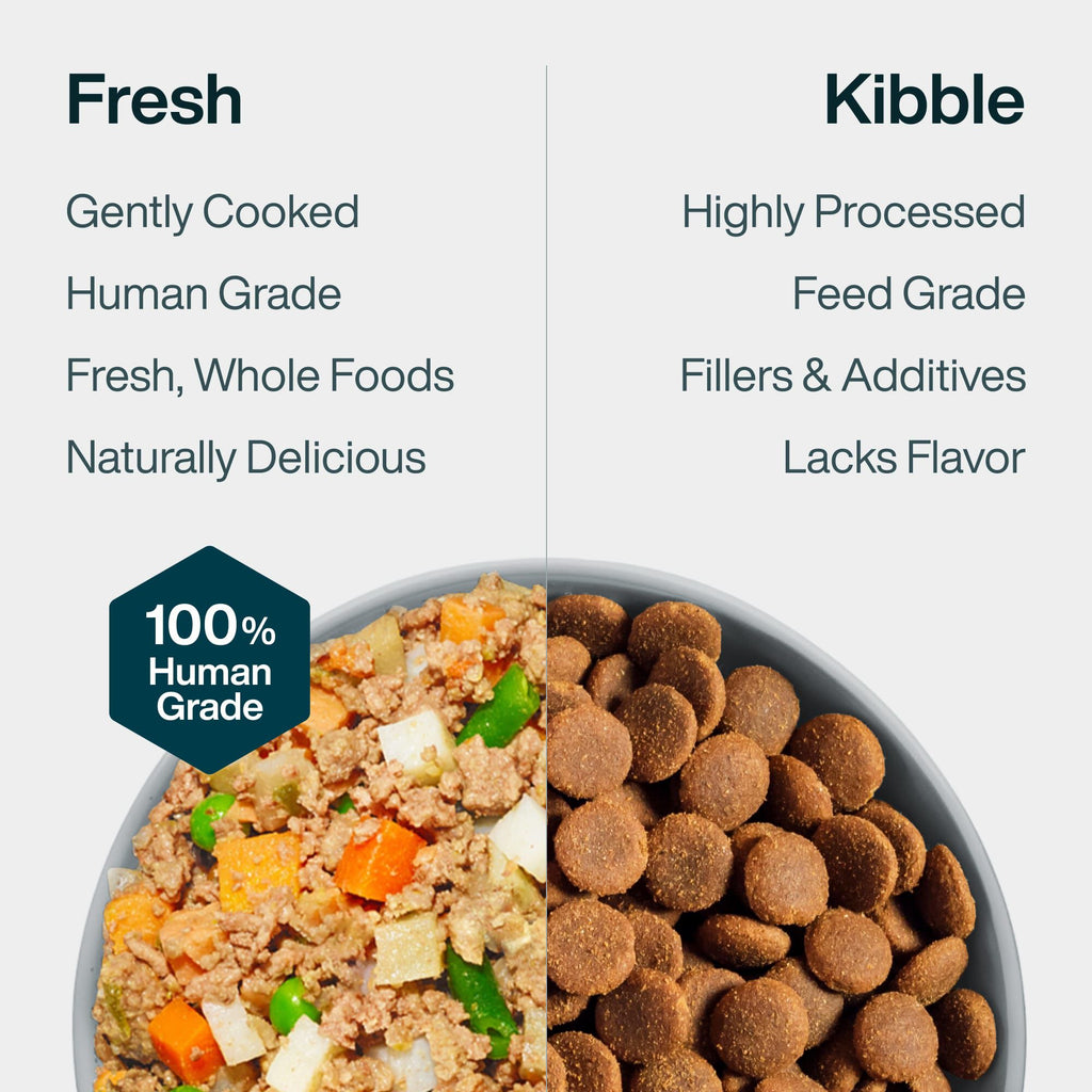 Fresh Frozen: Beef & Russet Potato