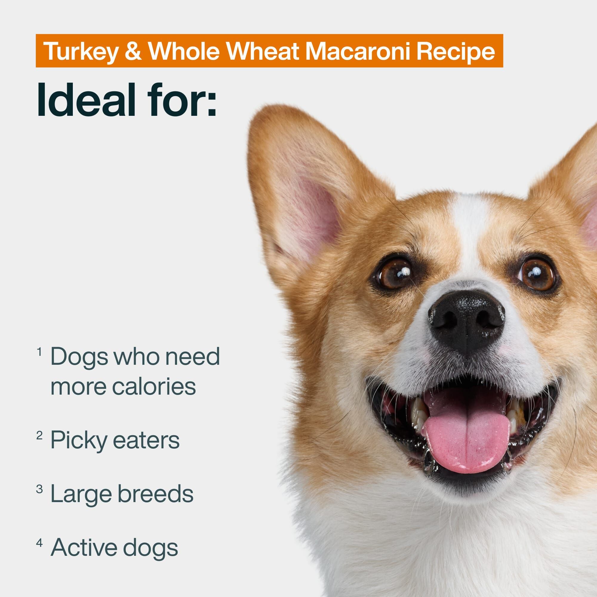Fresh Frozen: Turkey & Whole Wheat Macaroni