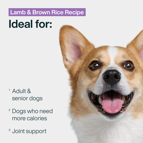 Fresh Frozen: Lamb & Brown Rice