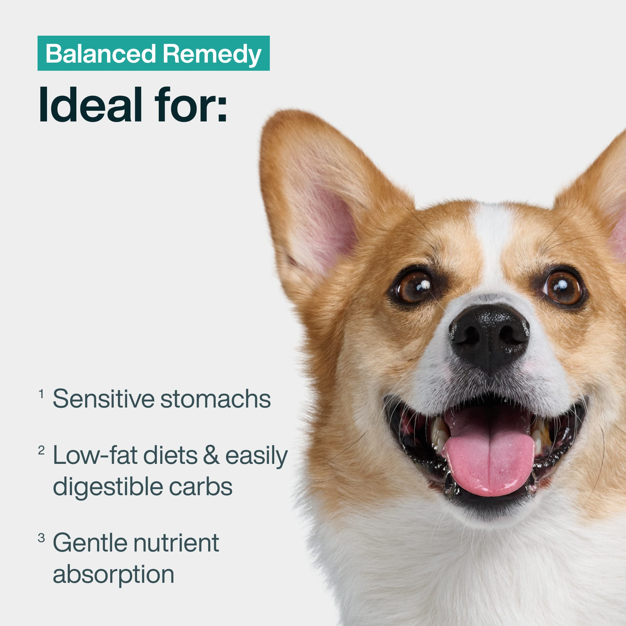 Pantry Fresh: Balanced Remedy