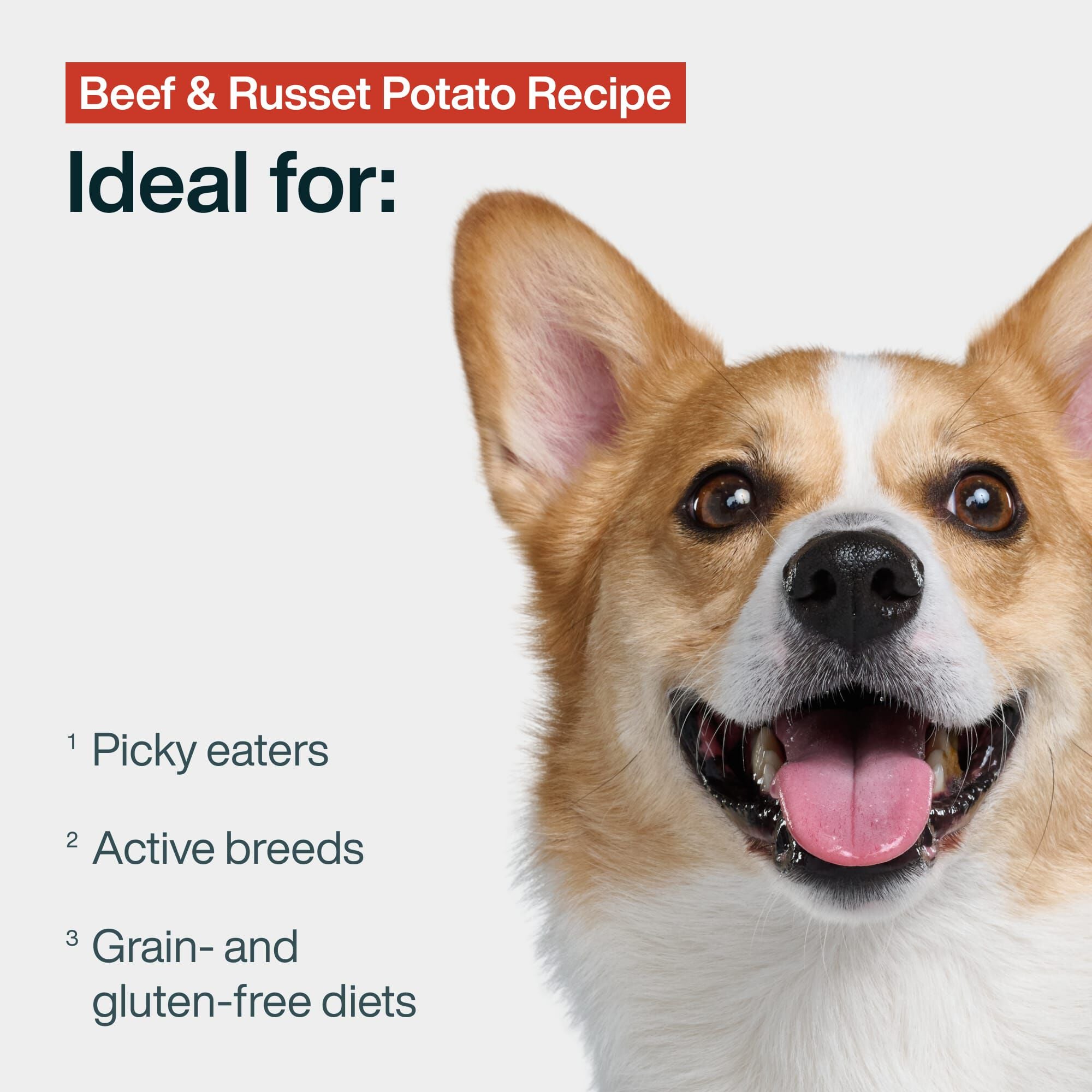Fresh Frozen: Beef & Russet Potato