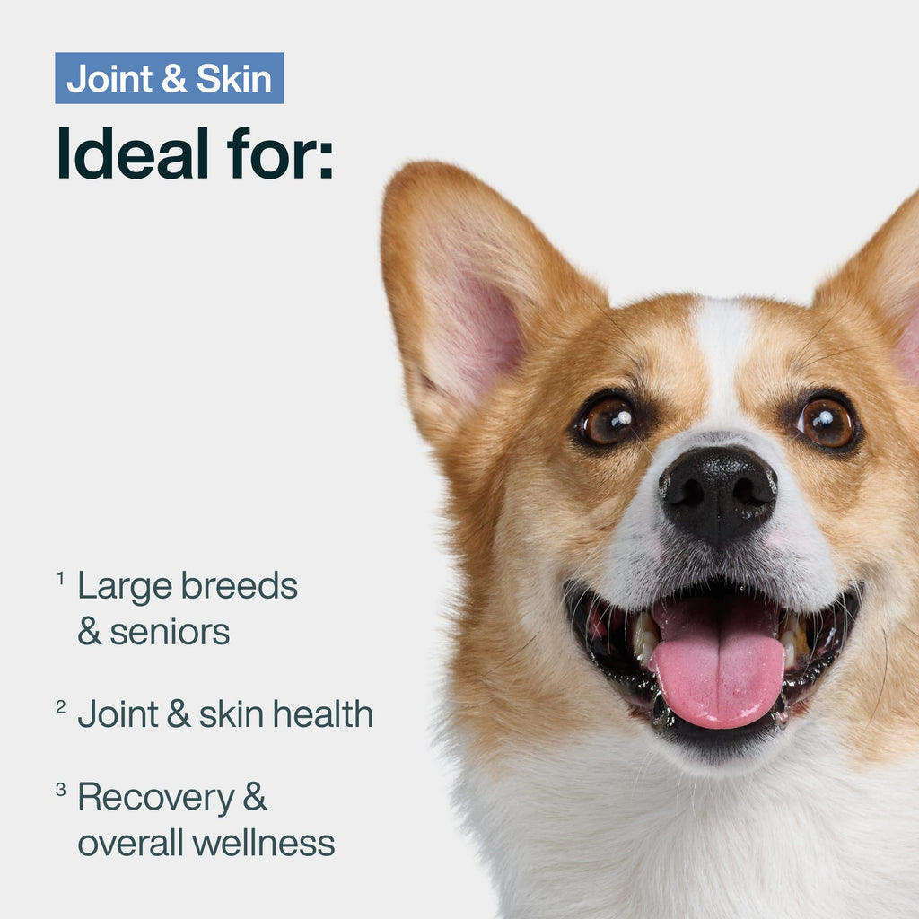 Pantry Fresh: Joint & Skin