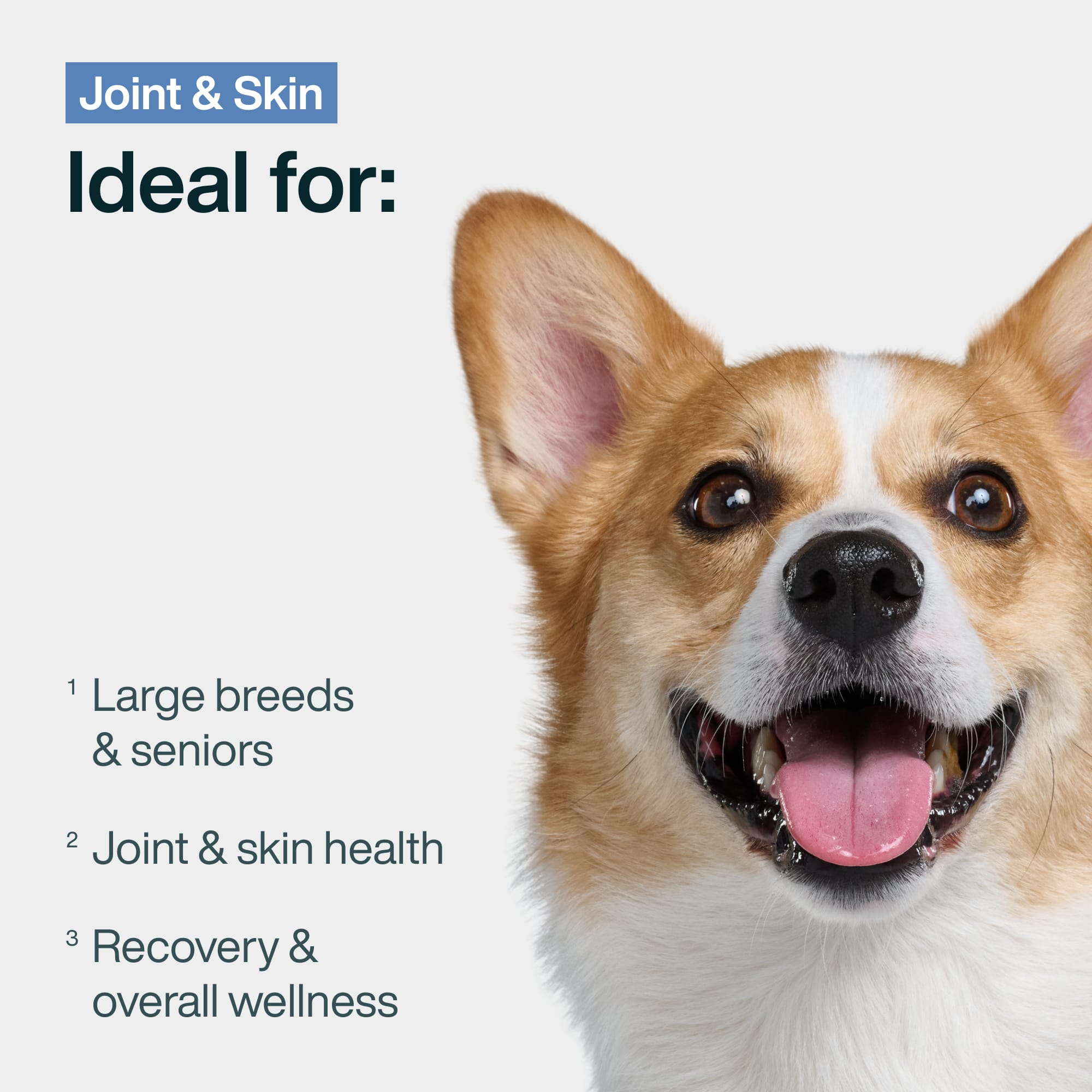 Pantry Fresh: Joint & Skin