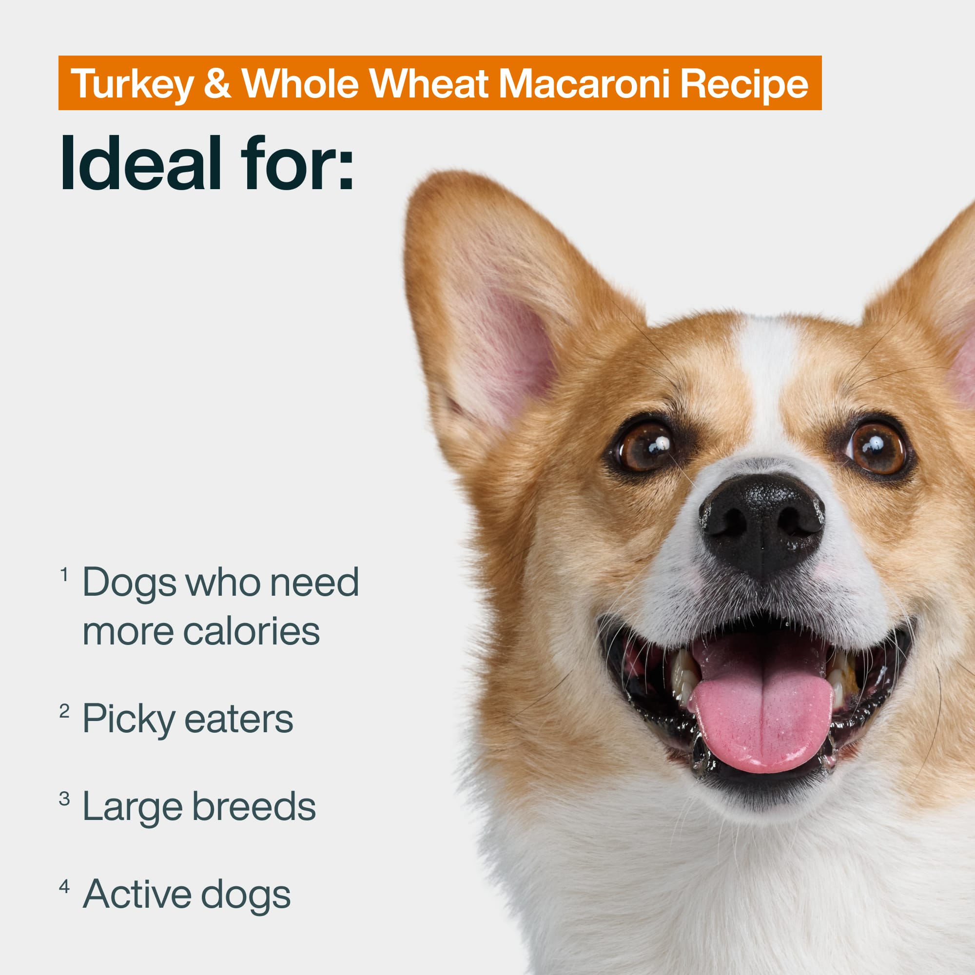 Pantry Fresh: Turkey & Whole Wheat Macaroni