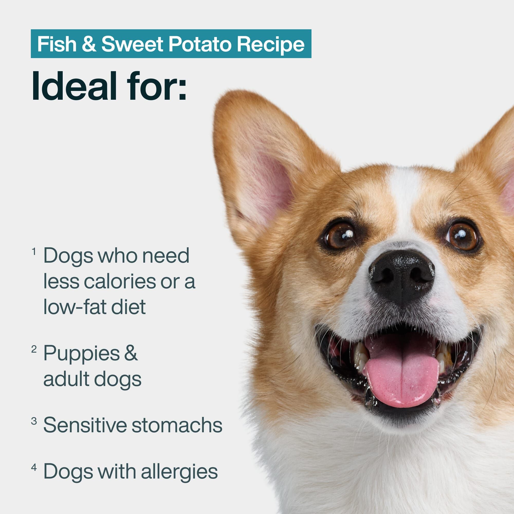 Fresh Frozen: Fish & Sweet Potato