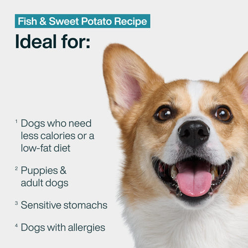 Fresh Frozen: Fish & Sweet Potato