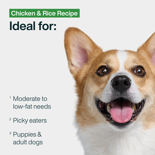 Fresh Frozen: Chicken & Rice