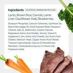 Fresh Frozen: Lamb & Brown Rice