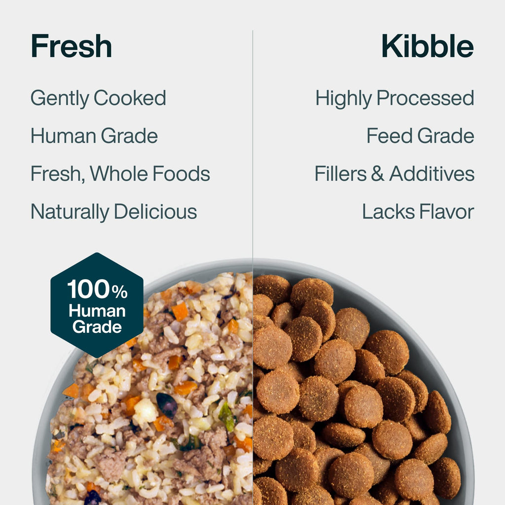 Fresh Frozen: Lamb & Brown Rice