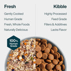 Fresh Frozen: Lamb & Brown Rice