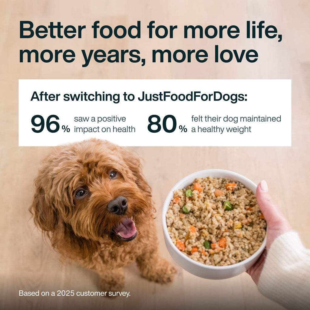 JustFresh: Home-Cooked Beef